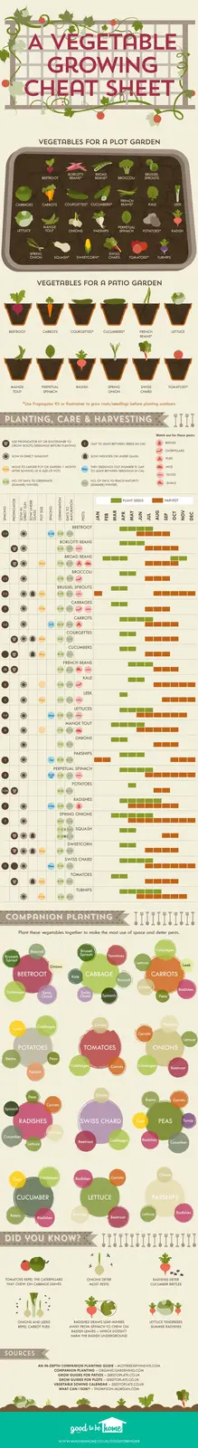 This is a detailed infographic titled 'A Vegetable Growing Cheat Sheet' that visually organizes gardening information. It…