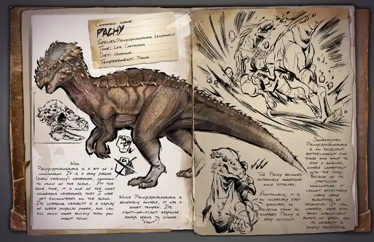 The Mysterious Pachy Dossier Unveiled