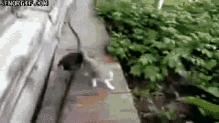 Dive into Nostalgia with Our Retro Gif Collection: Part 1
