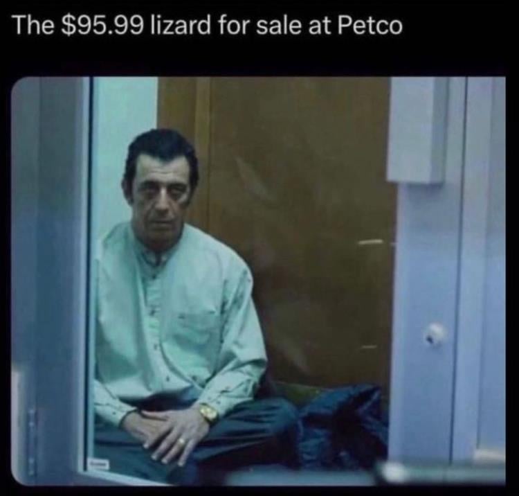 The $99 lizard that's up for grabs at Petco!