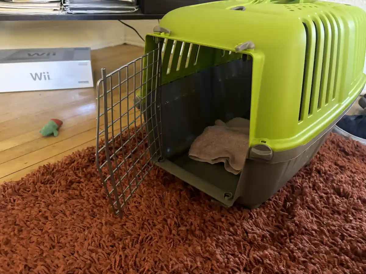 A lime green pet carrier with its wire door open sits on a shaggy brown rug, containing a folded brown towel. In the…