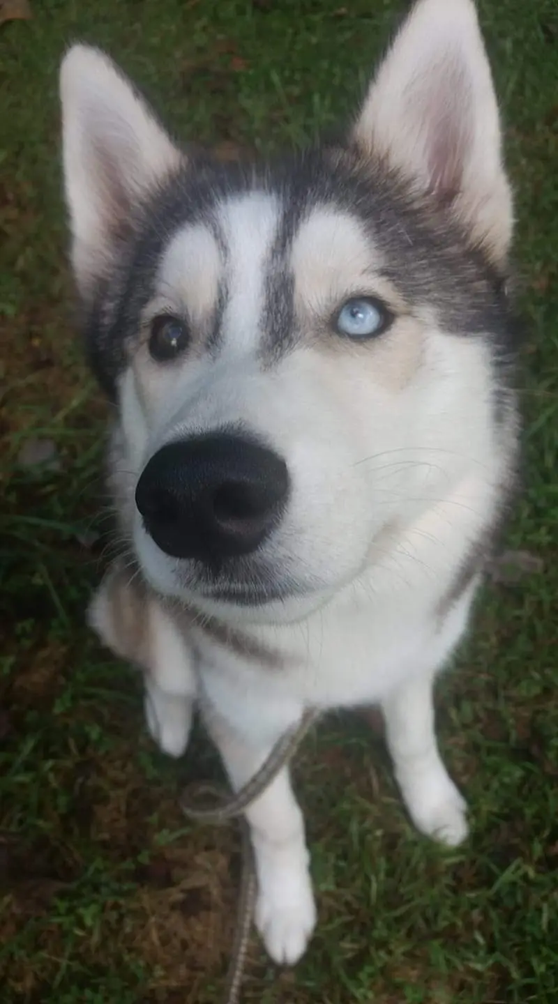 Adorable Cuties That Melt Your Heart