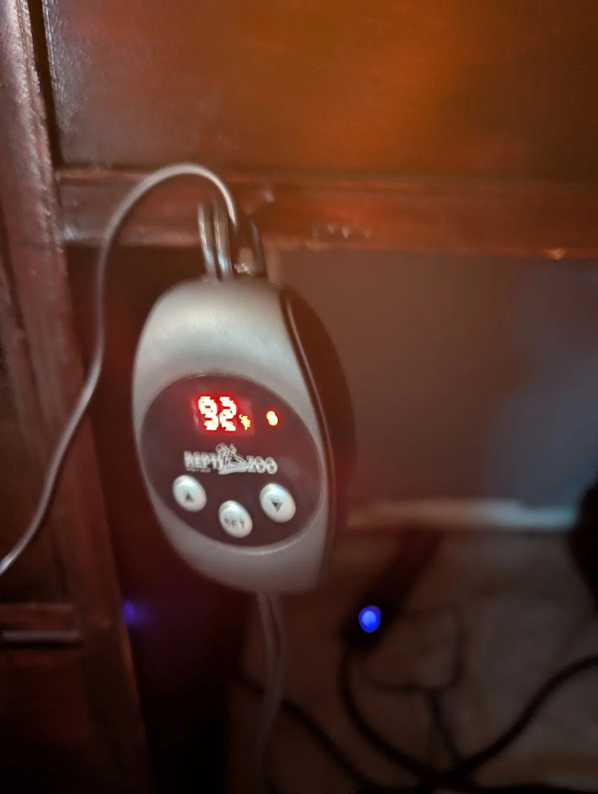 A close-up of a silver 'ReptiZoo' brand digital thermometer/hygrometer hanging on a wooden surface, displaying '92°' in…