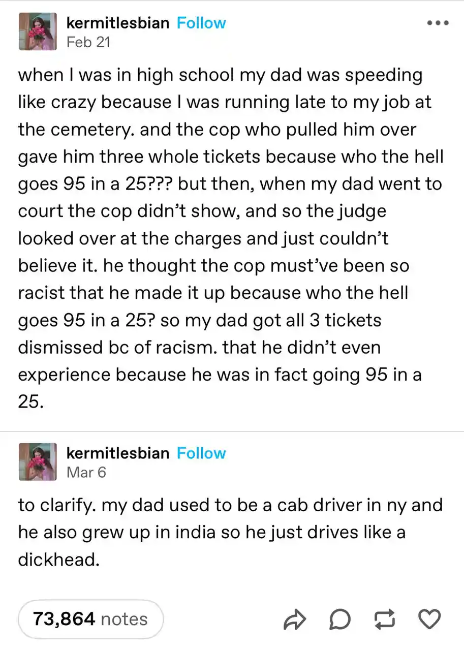The image displays two text posts from a social media account named 'kermitlesbian'. The first post recounts a story where…
