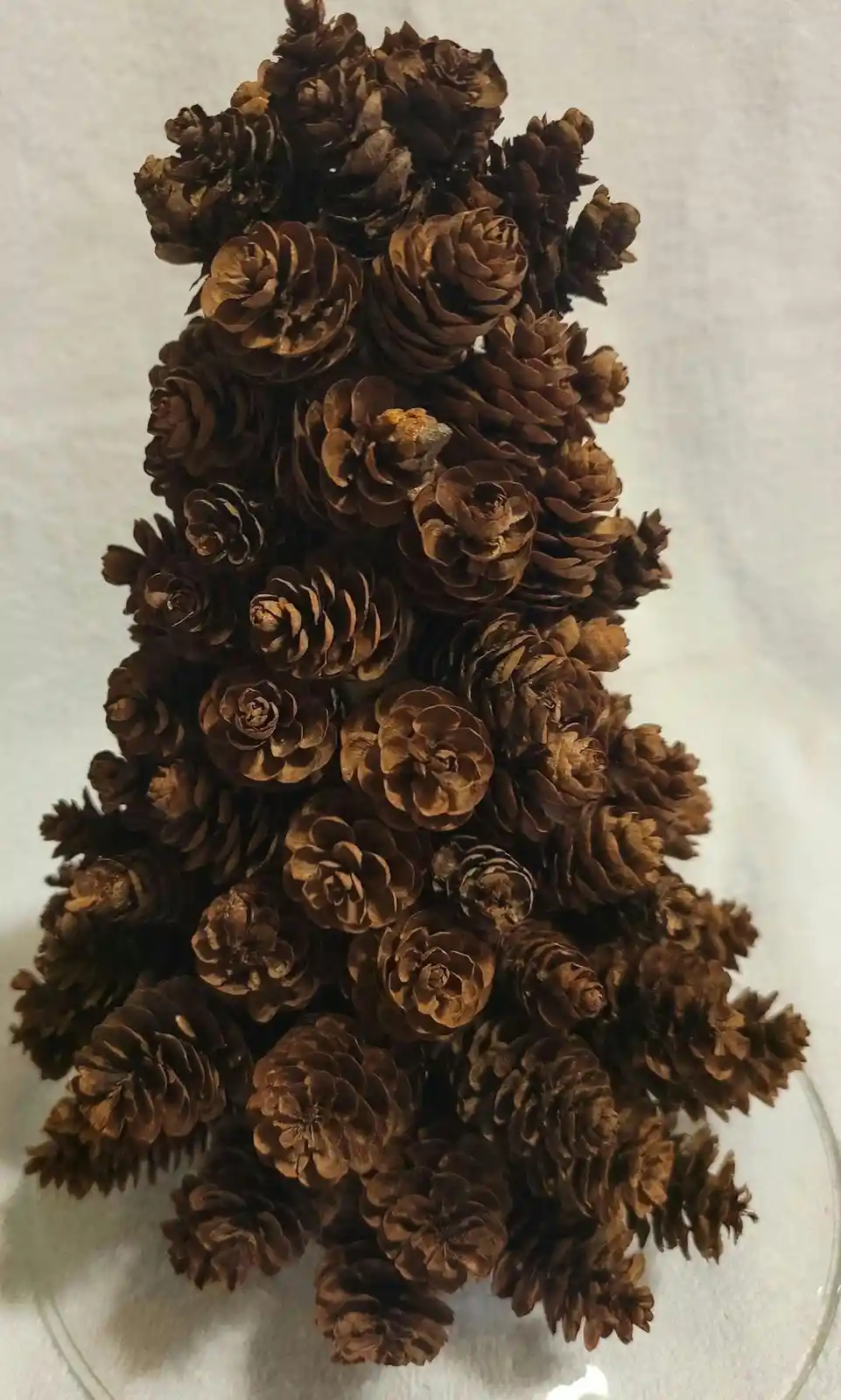 Wishing Merry Christmas to Team Pinecone!