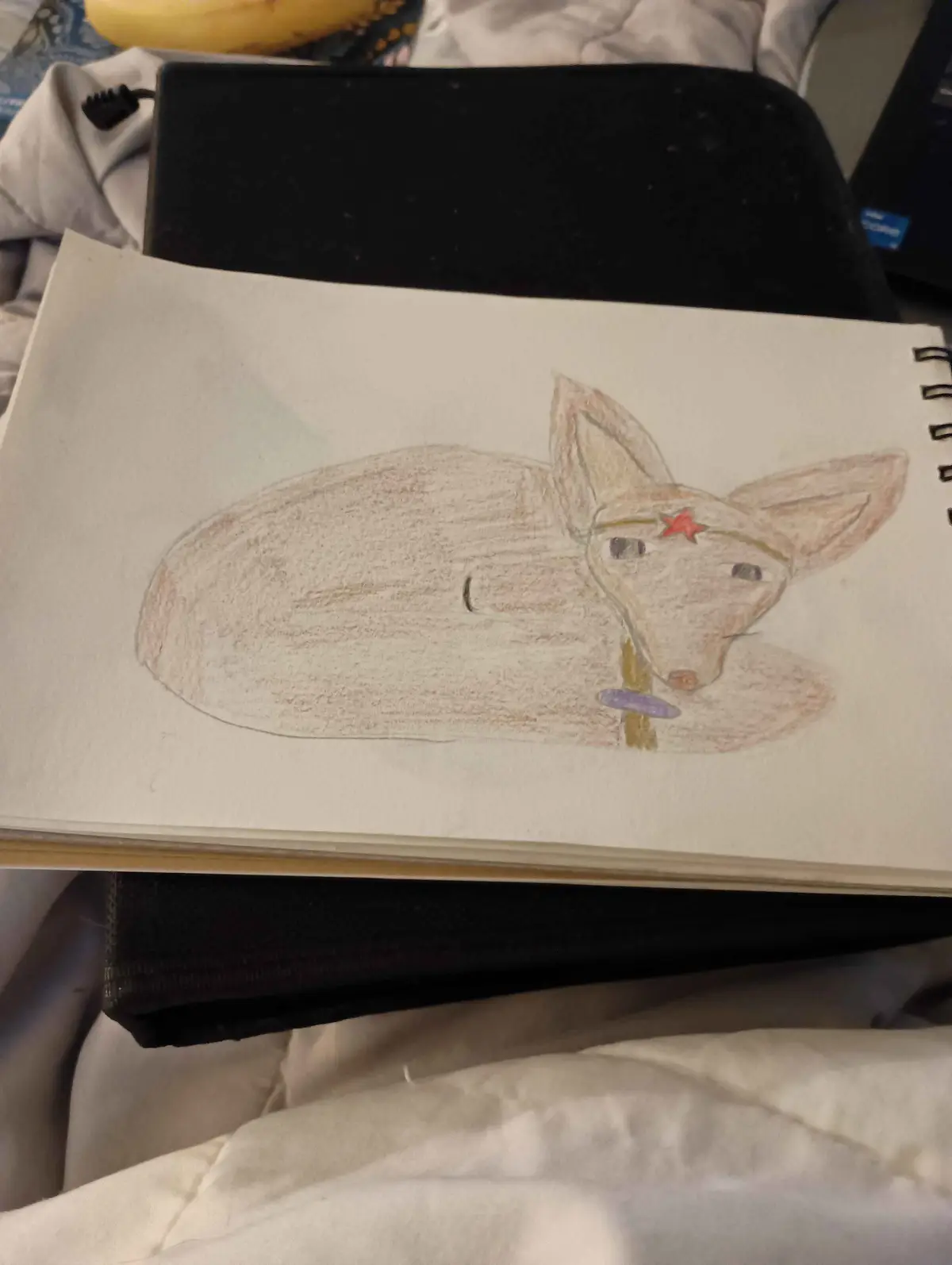 A child's colored pencil drawing of a dog lying down, featuring a red star on its forehead and a purple collar, is shown in…