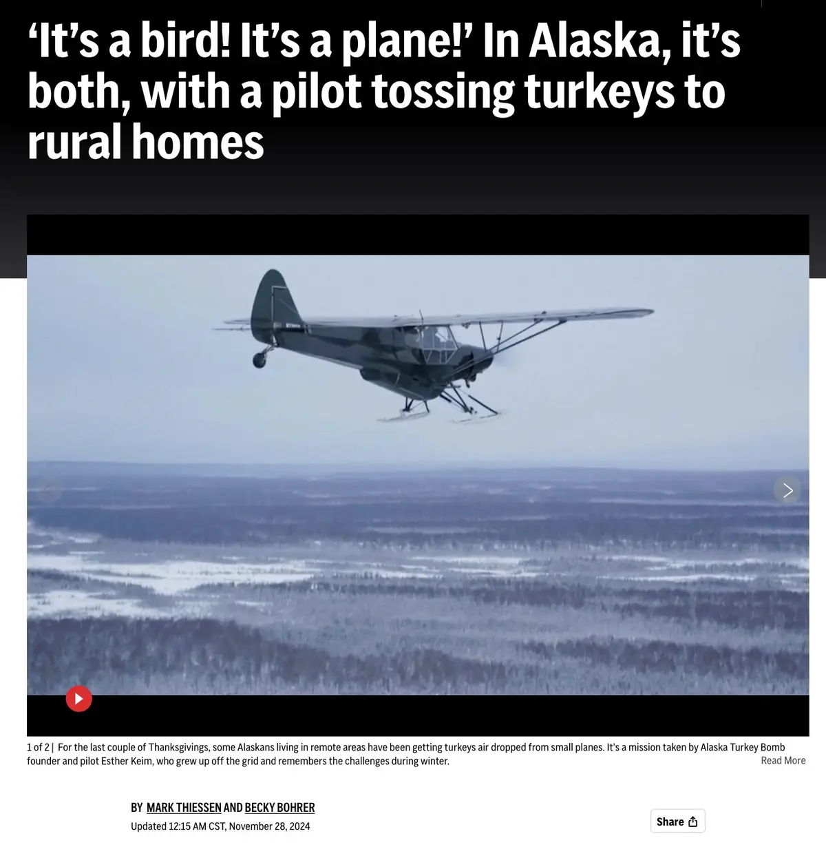 I swear, I genuinely believed turkeys could soar!