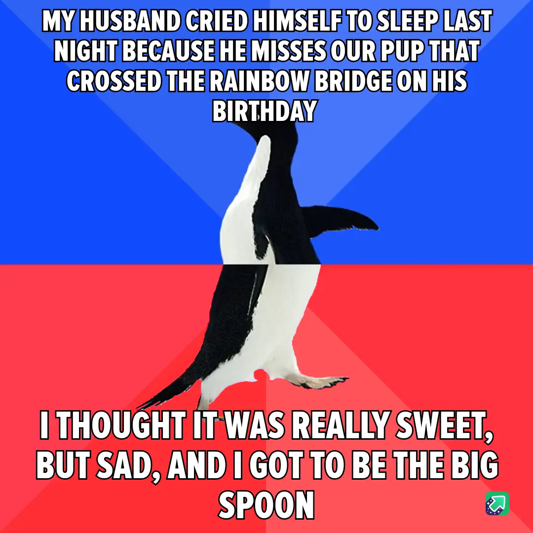 In Loving Memory of a Good Dog