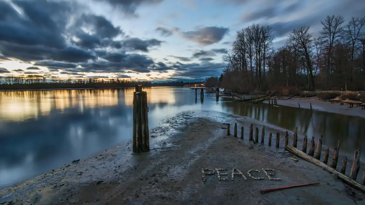 As twilight descends, soft golden light dances across the tranquil river, its gentle ripples reflecting the misty sky. A…