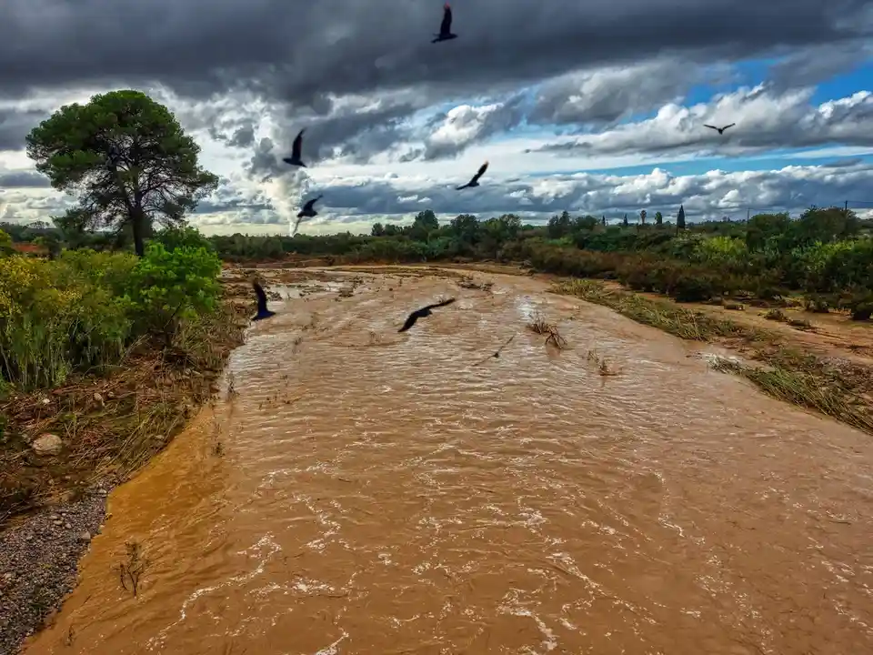 A wide, muddy river flows through a natural landscape under a dramatic, cloudy sky, with several birds in flight above the…