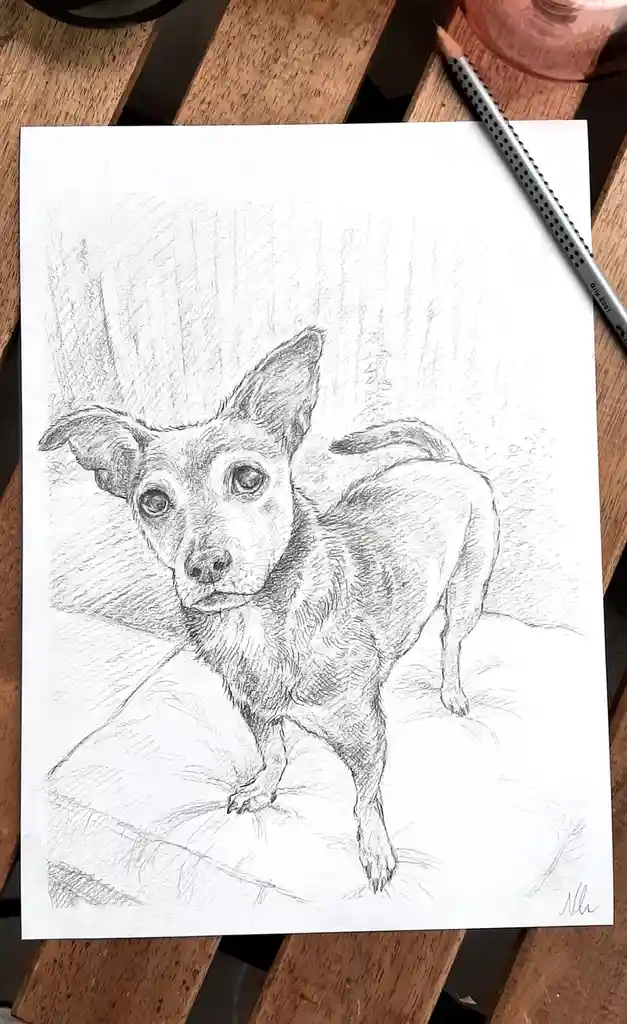 A detailed pencil sketch of a small dog with large, expressive eyes and perked ears, standing on a surface and looking…