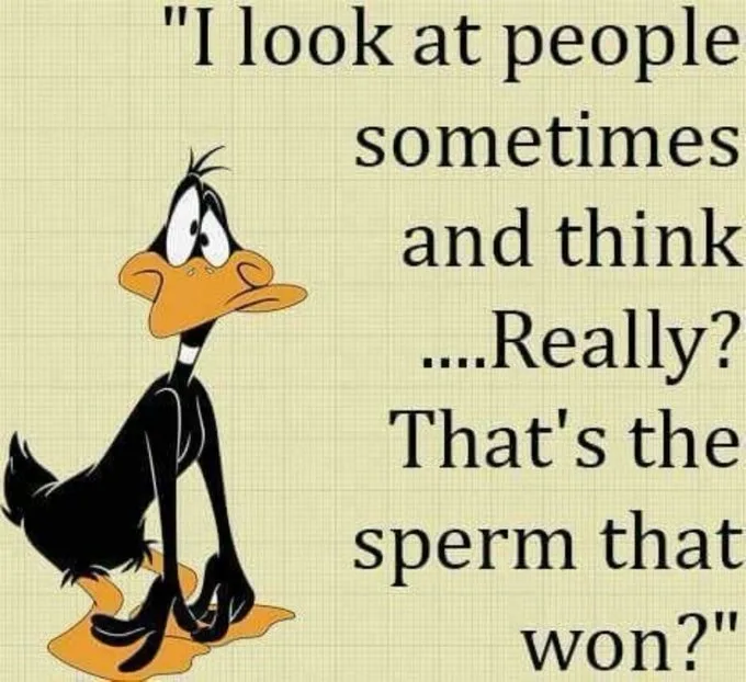 Classic Cartoon Chaos: Daffy Duck in Action