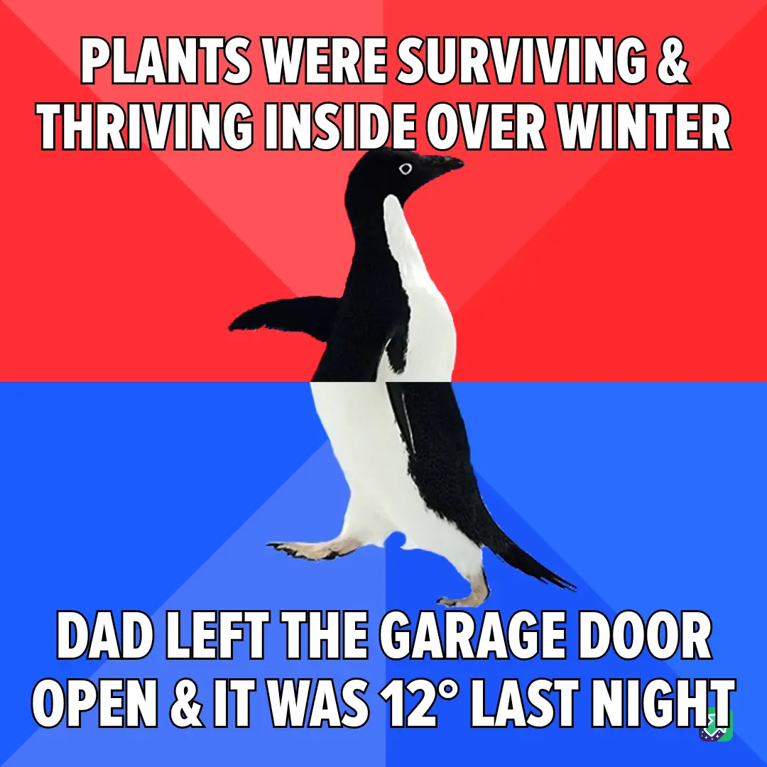 A penguin stands centered against a red and blue background, with bold white text above stating 'PLANTS WERE SURVIVING &…