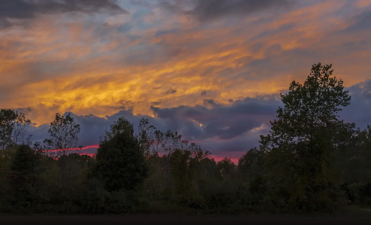 A serene landscape photo of a vibrant sunset with orange, yellow, and purple clouds above a dark silhouette of trees. The…