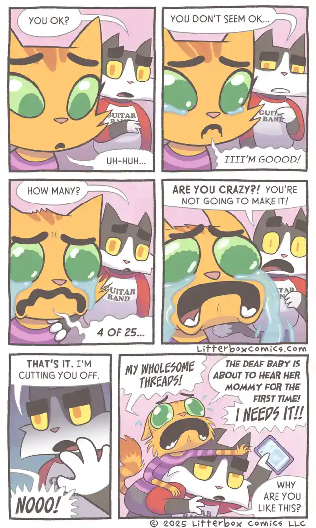 A six-panel comic strip featuring two cartoon cats. The orange cat is initially tearful and dismissive of concern, then…