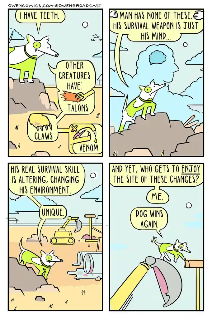 A four-panel comic strip featuring a green and white cartoon dog standing on a rocky hillside. In the first panel, the dog…