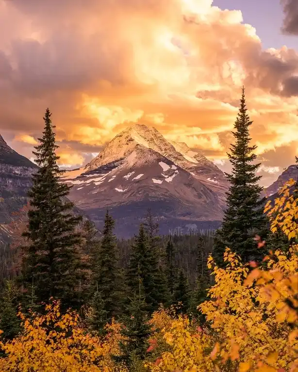 A scenic mountain landscape at sunset with snow-capped peaks, evergreen trees, and vibrant autumn foliage in the foreground…