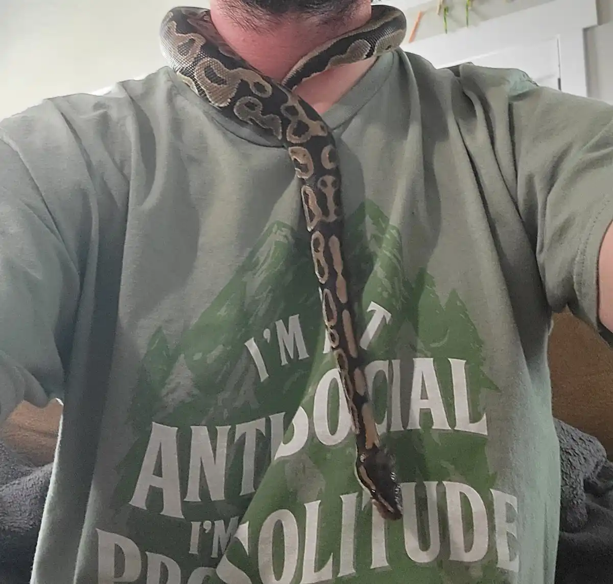 A person wearing a green t-shirt with the text 'I'M NOT ANTISOCIAL I'M PRO SOLITUDE' has a large, patterned snake draped…