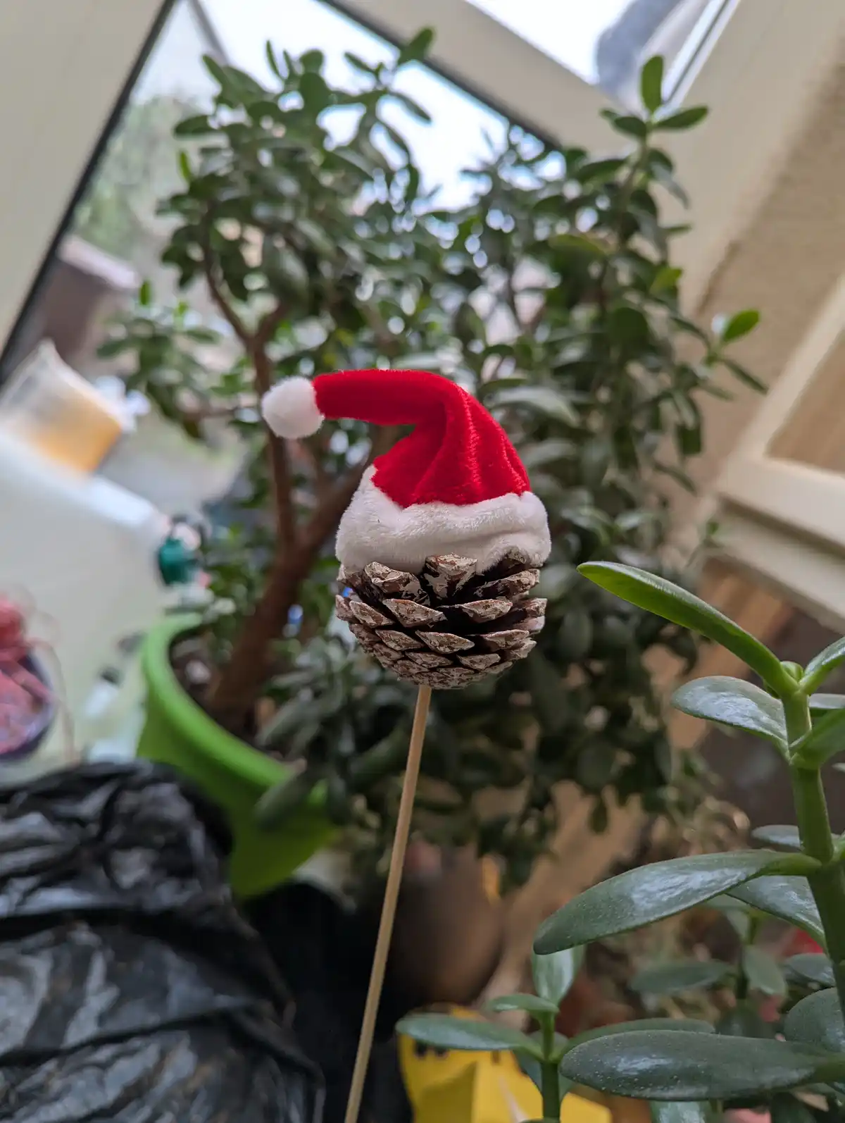 A small pinecone is stuck on a stick and topped with a miniature red and white Santa hat, set against a blurred background…