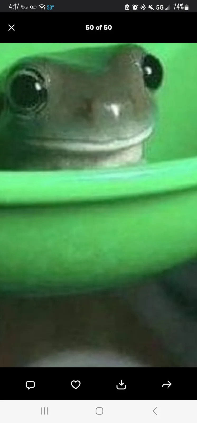 A close-up photo of a frog's face peeking over the rim of a bright green container, with large, round eyes and a slightly…