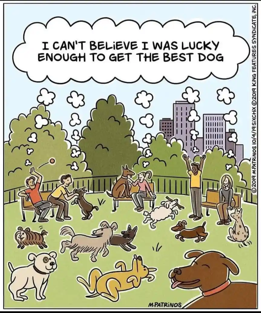 Meet the Ultimate Good Boy!