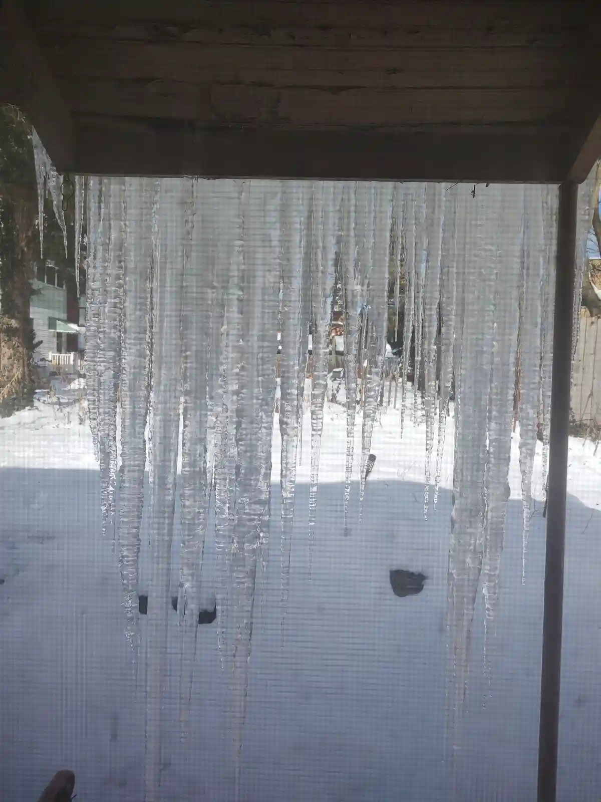 A photo shows numerous long, clear icicles hanging from a wooden eave, viewed through a screen door with a snowy yard…