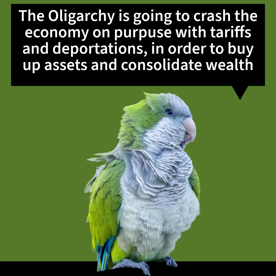 A green and white parrot with ruffled feathers is shown against a solid green background, with a black speech bubble above…