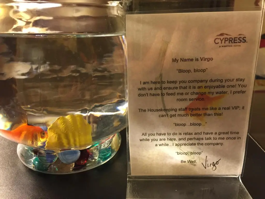 A goldfish in a glass bowl with colorful marbles sits next to a hotel note from 'Cypress, A Kimpton Hotel' addressed to a…