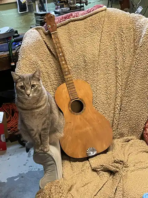 It's Caterday! Meet Stella and Silver