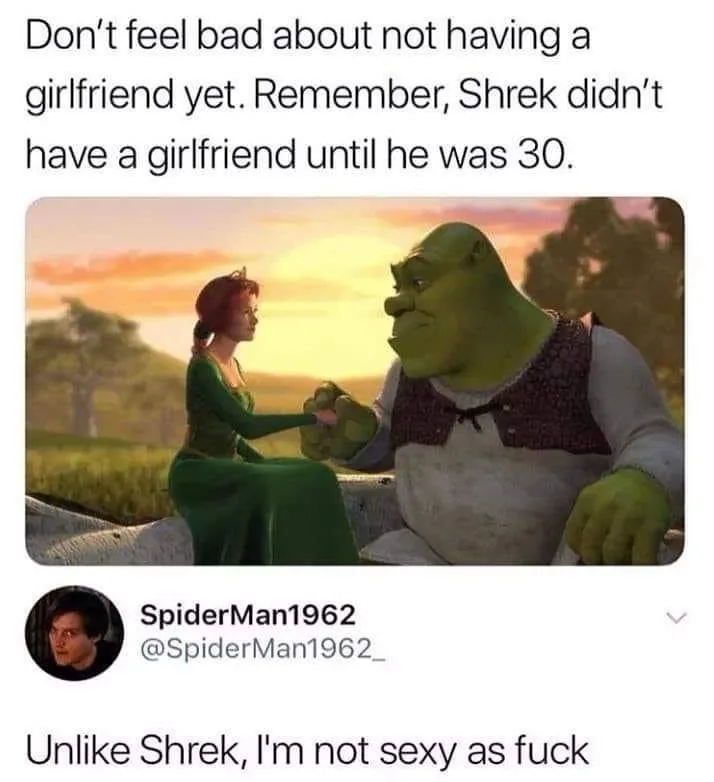 The image shows Shrek and Fiona from the movie Shrek, sitting together at sunset. Shrek is looking at Fiona, who is holding…