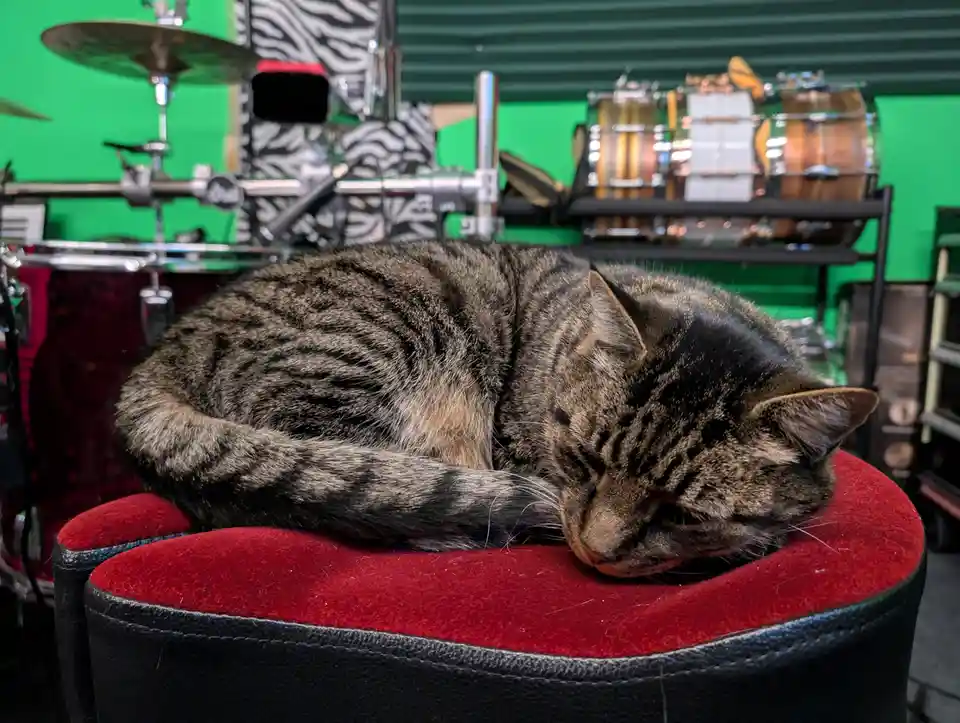 A tabby cat is curled up and sleeping soundly on a red-cushioned black stool. Behind it, a drum set and other musical…