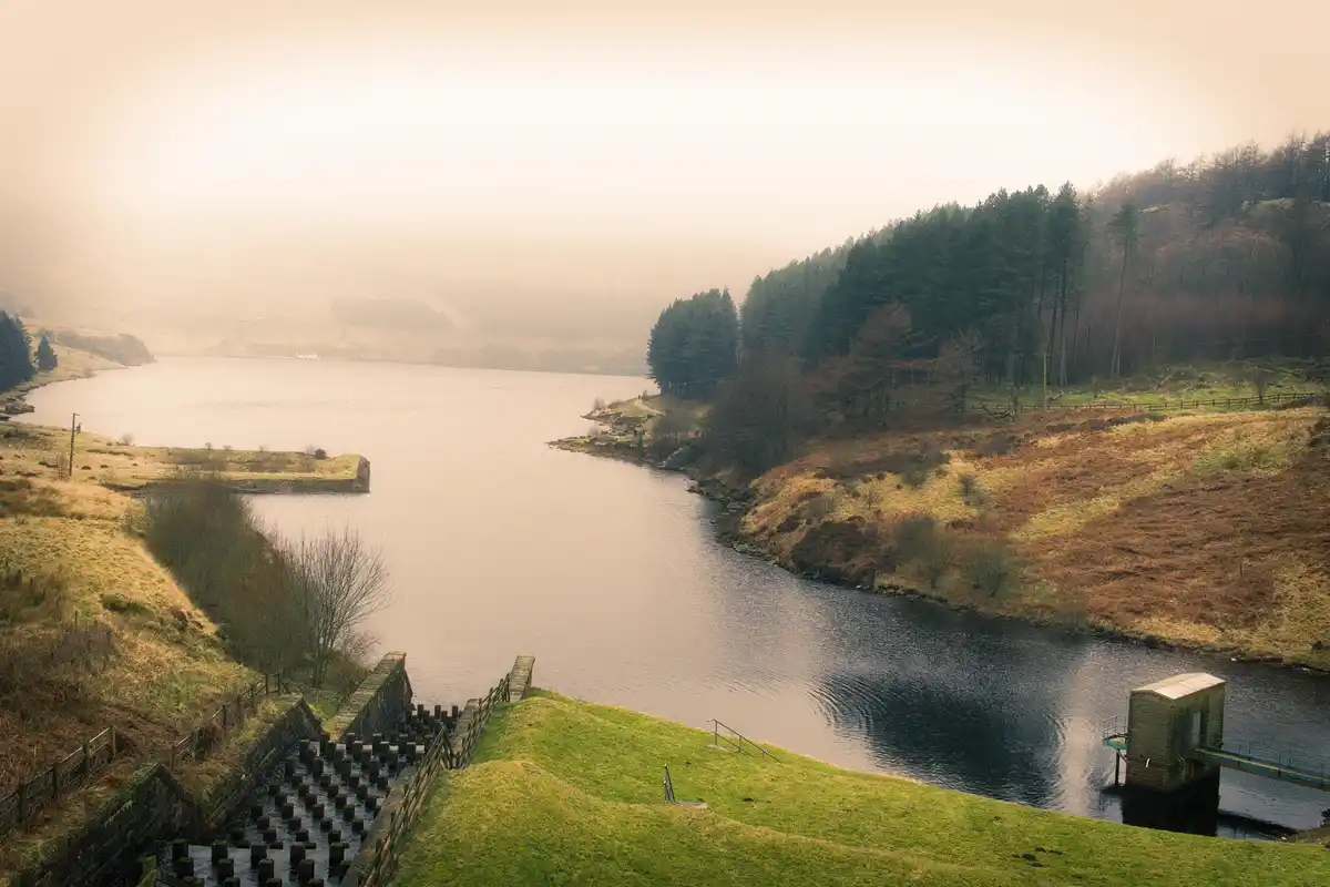 A serene, misty landscape featuring a calm lake surrounded by rolling hills and dense forests. A stone staircase descends…