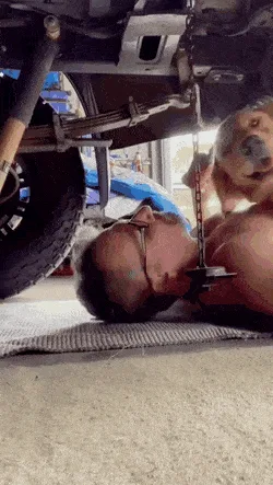 A man lies on his back under a vehicle, his head near a chain hanging from the underside. A golden retriever dog approaches…