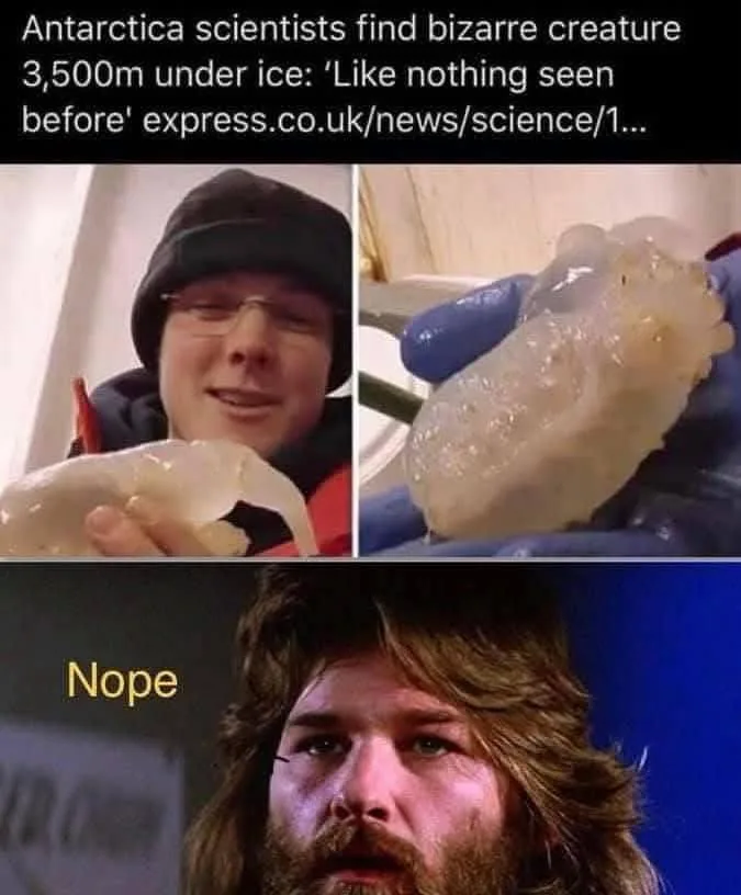The image is a three-panel meme. The top panel shows a news headline about scientists finding a bizarre creature under…