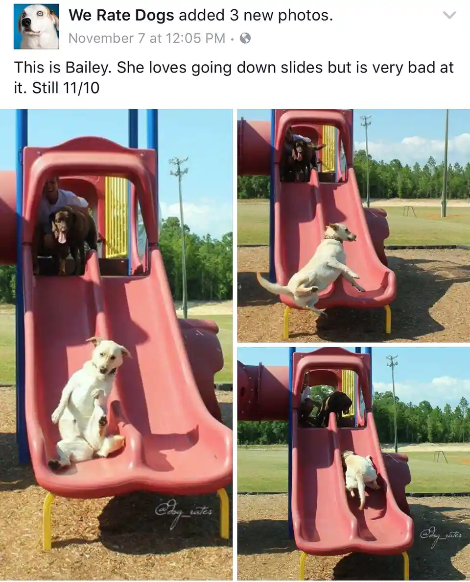Another Heckin' Good Post for the 16th Time
