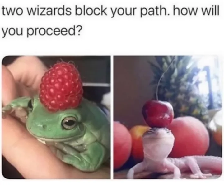 The image displays two side-by-side photos: a green frog with a raspberry balanced on its head, and a pink gecko with a…