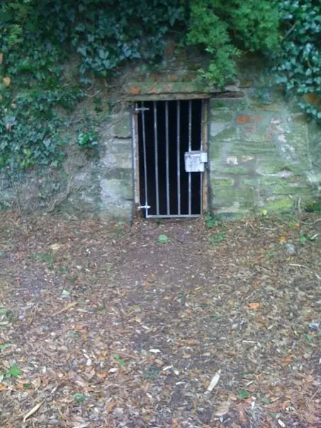 a small barred metal door set into a mossy stone wall, surrounded by ivy and leaf litter on the ground, with text overlaid…