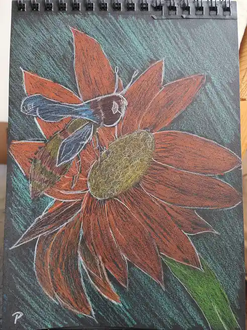 Embracing Change: Trying Something New