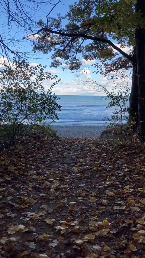 A scenic autumn path covered in fallen leaves leads to a calm beach and ocean under a partly cloudy sky, framed by trees…