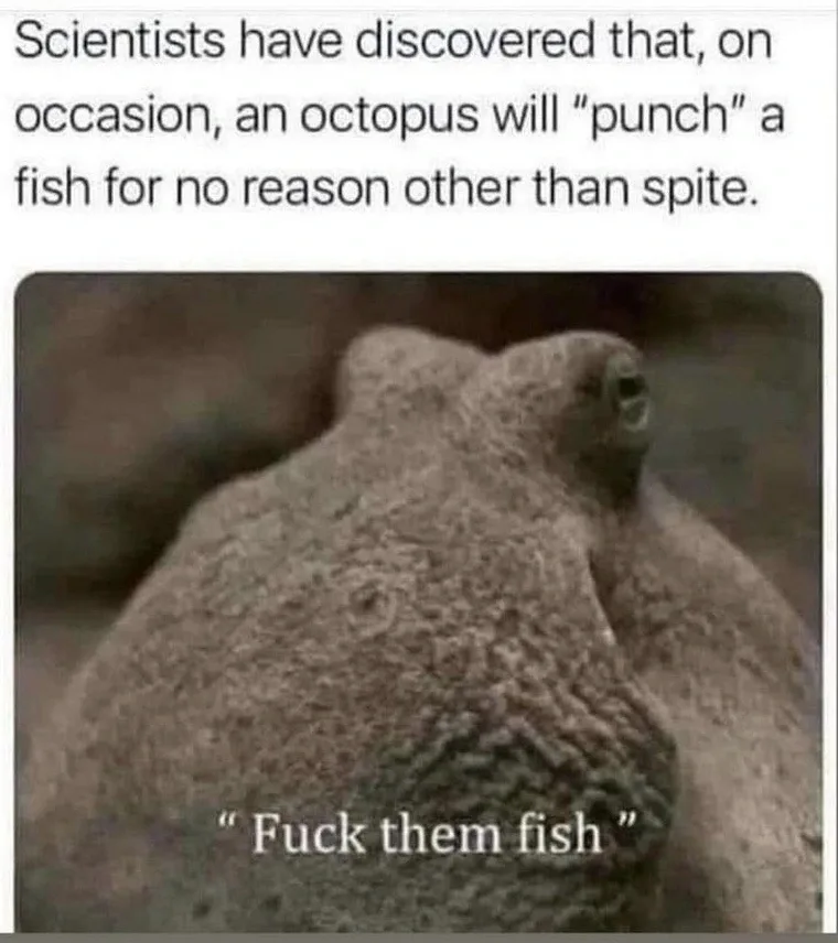 A sepia-toned photo shows a close-up of an octopus's head, looking upward with a seemingly defiant or annoyed expression…