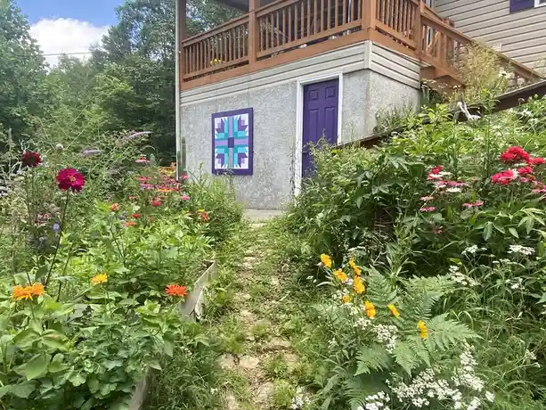 Exploring the Beauty of Bk Garden