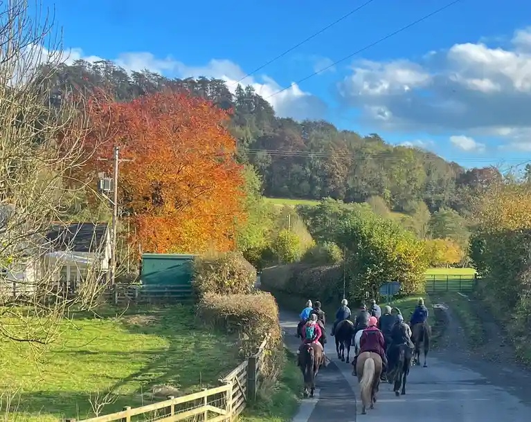 A group of people riding horses down a rural road lined with autumn-colored trees and green fields under a blue sky with…