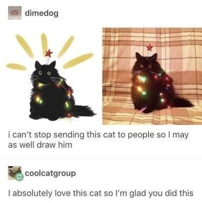 The image shows two side-by-side pictures of the same fluffy black cat wearing a string of colorful Christmas lights around…