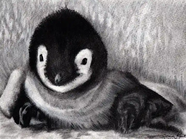 A charcoal drawing of a small, fluffy penguin chick lying down, looking directly at the viewer with large, innocent eyes…