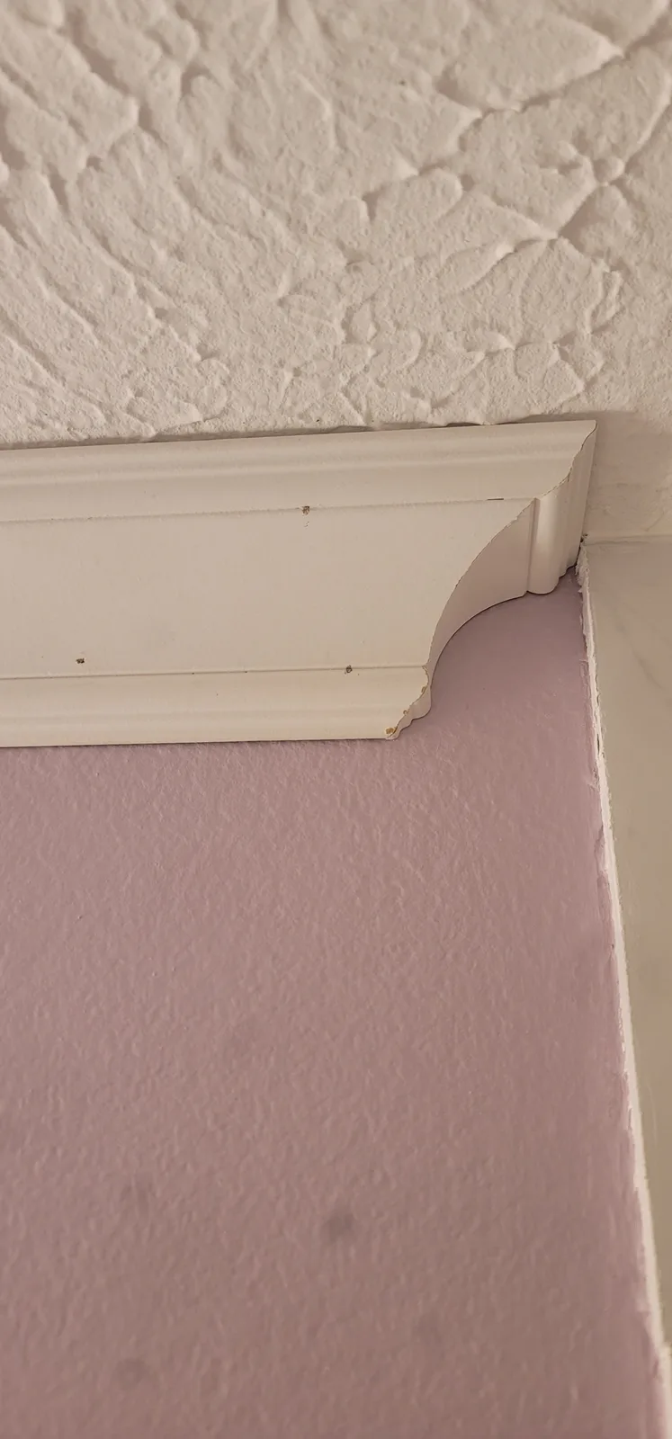 A close-up photo shows a corner where a white decorative baseboard meets a textured, light pink wall. The baseboard has…