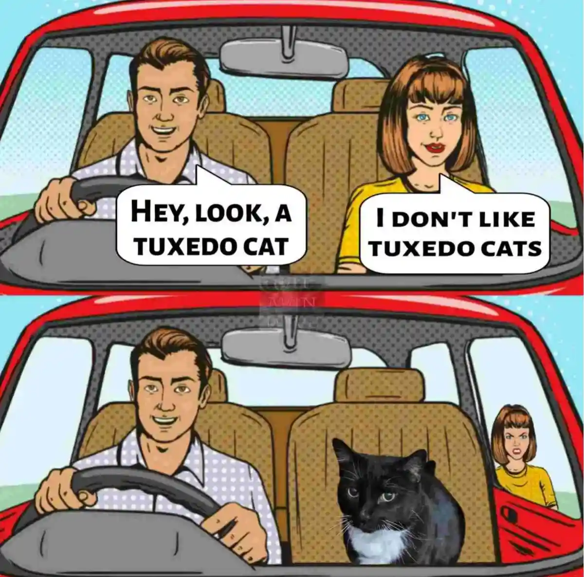A two-panel comic strip shows a man and woman in a red car. In the top panel, the man points excitedly at something outside…