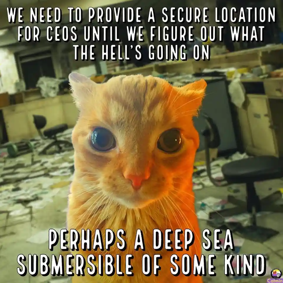 An orange tabby cat with wide, startled eyes stares directly at the camera, superimposed over a messy, abandoned office with…