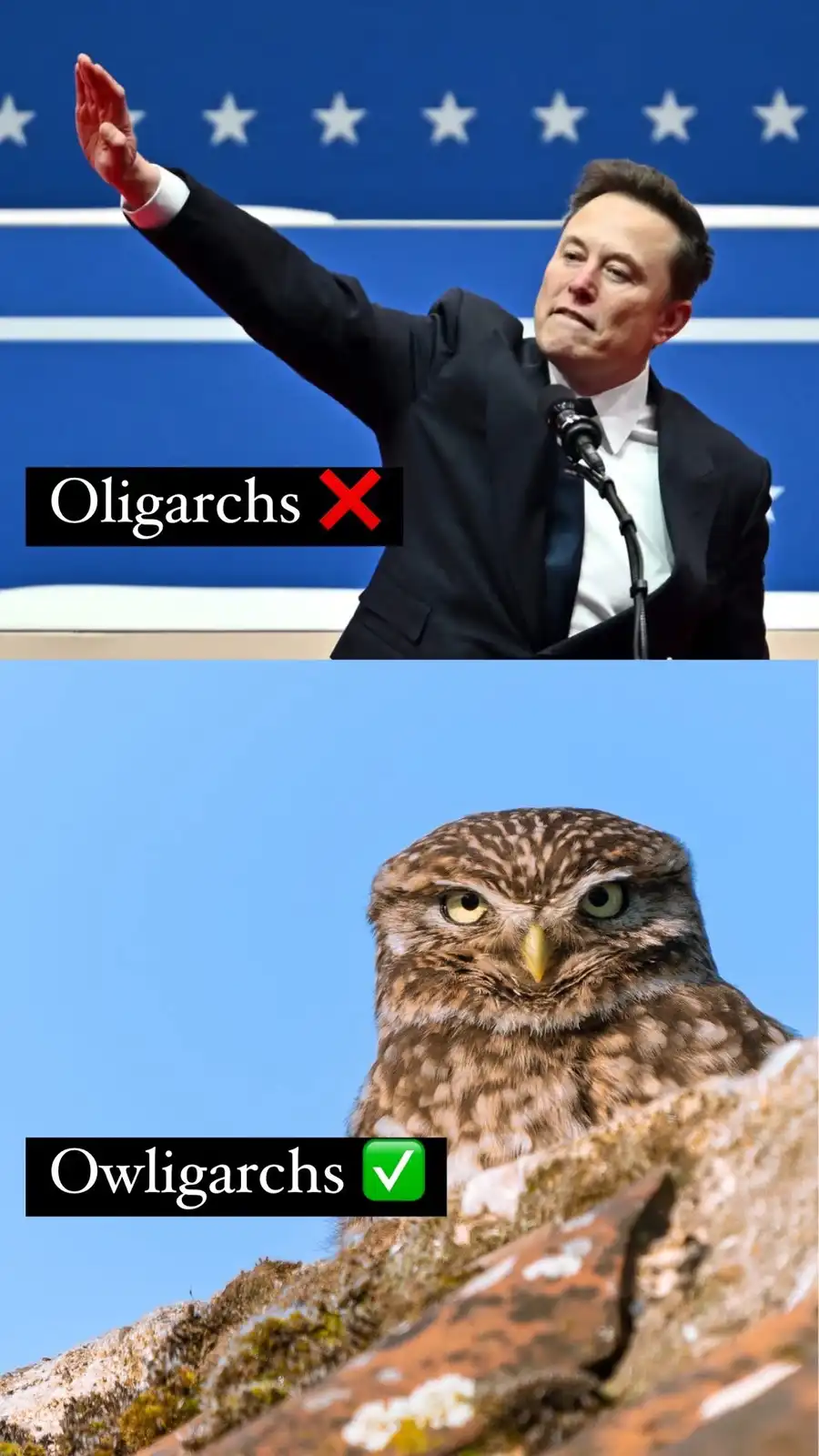 The top panel shows Elon Musk waving at a podium with a blue background of white stars, labeled 'Oligarchs X'. The bottom…