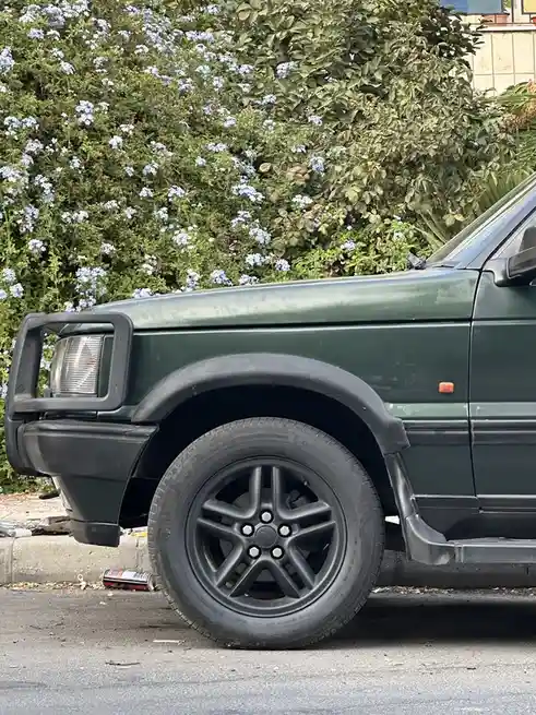A dark green SUV is parked on a street with a bush of small blue flowers behind it. The car has black plastic bumpers and…