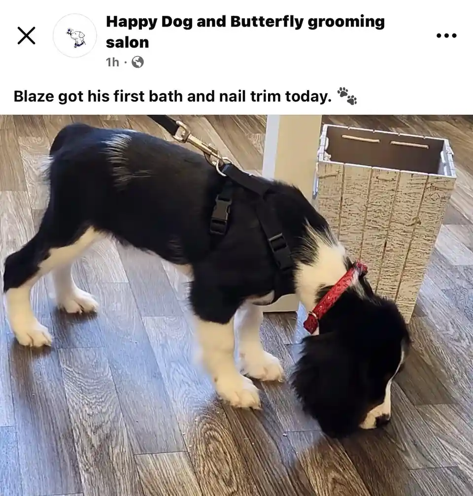 Indulging in a Relaxing Spa Day